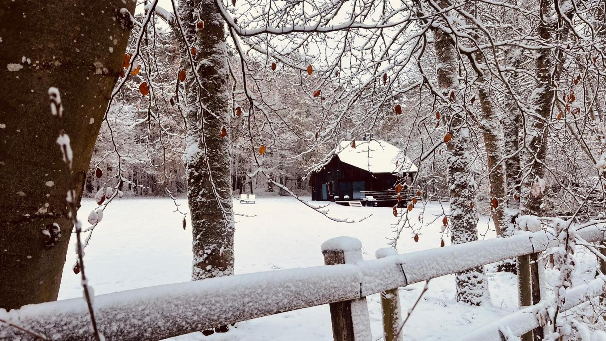 La Cabane D'Amae Marche-en-Famenne Exterior foto